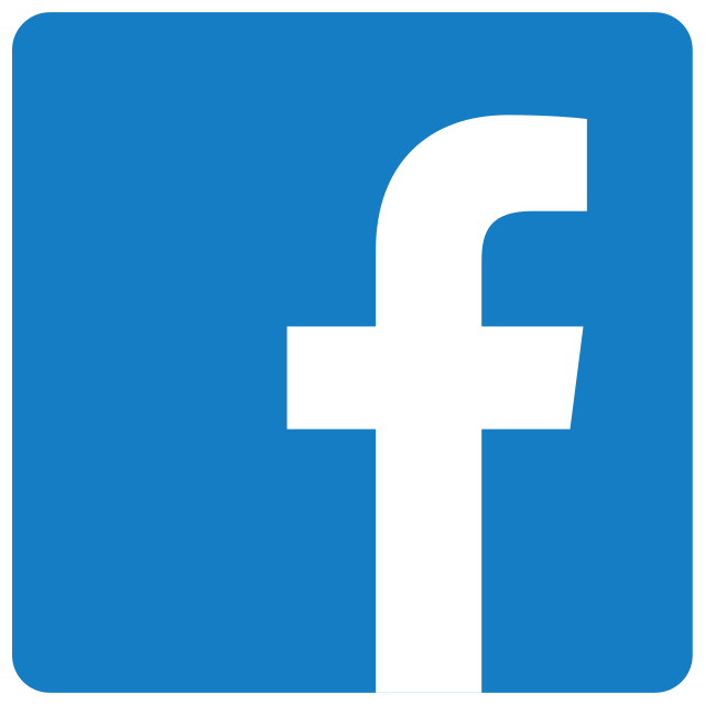 Facebook Account with Profile Photo + Page/FP + MP, A2F ON