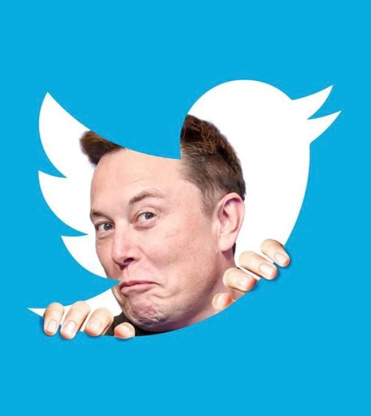 Old twitter ( X) Accounts 2011 - 2017 | Random followers